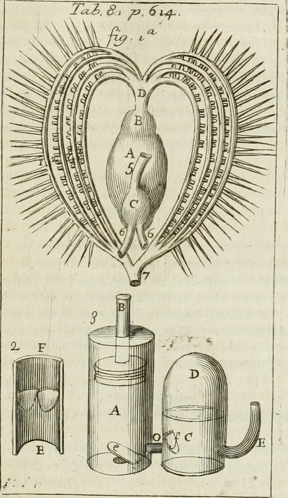 An illustration from Philosophia vetus et nova : ad usum scholae accommodata, in Regia Burgundia olim pertractata, 1684, leaf 646