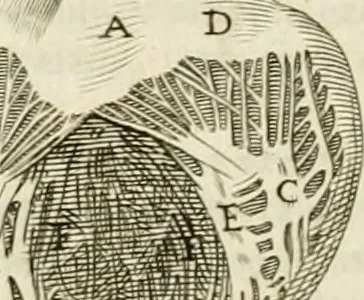 An illustration from Philosophia vetus et nova : ad usum scholae accommodata, in Regia Burgundia olim pertractata, 1684, leaf 659