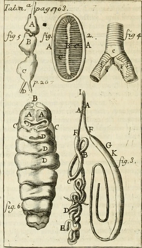 An illustration from Philosophia vetus et nova : ad usum scholae accommodata, in Regia Burgundia olim pertractata, 1684, leaf 741