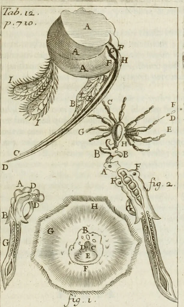 An illustration from Philosophia vetus et nova : ad usum scholae accommodata, in Regia Burgundia olim pertractata, 1684, leaf 750