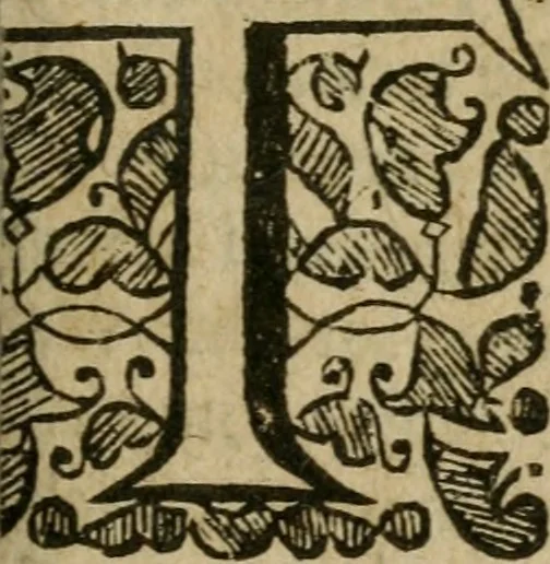 An illustration from The philosophical epitaph of W.C. Esquire, for a memento mori on his tomb-stone ... Also, A brief of the golden calf (the worlds idol) ..., 1675, leaf 28