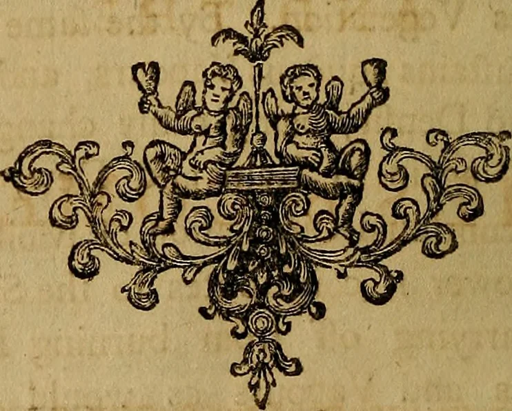 An illustration from Philosophical essays on the following subjects : I. On the principles of mechanics. II On the ascent of vapours, the formation of clouds, rain and dew, and on several other phaenomena of air and water. III. Observations and conjectures on the nature of the Aurora Borealis, and the tails of comets, 1766, leaf 101