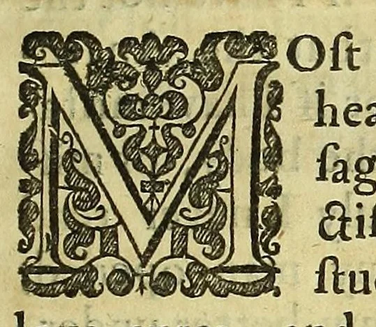 An illustration from The philosophical and physical opinions, 1655, leaf 125