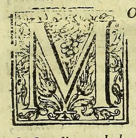 An illustration from The philosophical and physical opinions, 1655, leaf 13
