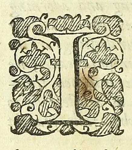 An illustration from The philosophical and physical opinions, 1655, leaf 24