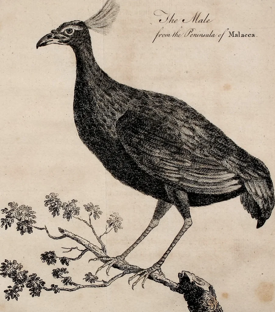 An illustration from Philosophical transactions of the Royal Society of London, 1666, leaf 22