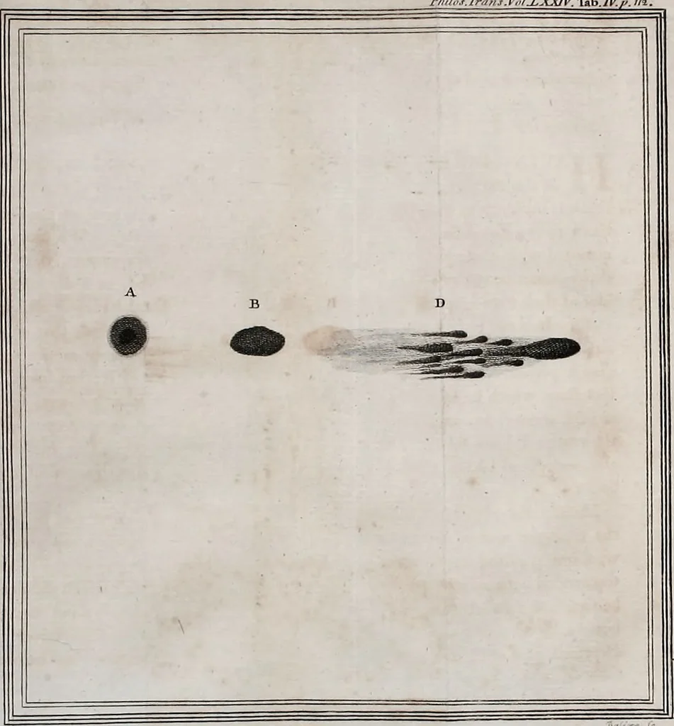 An illustration from Philosophical transactions of the Royal Society of London, 1666, leaf 138