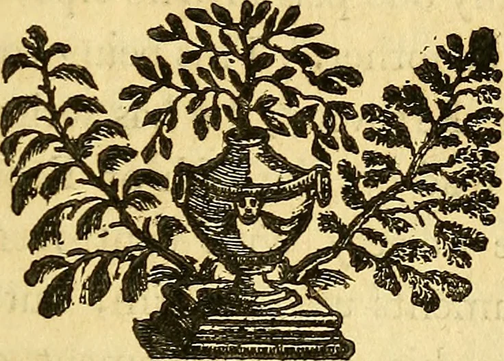 An illustration from Philosophical transactions of the Royal Society of London, 1666, leaf 196