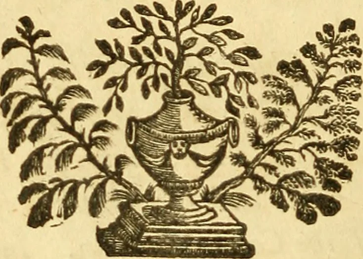 An illustration from Philosophical transactions of the Royal Society of London, 1666, leaf 271