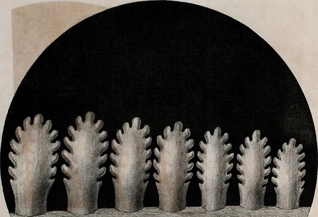 An illustration from Philosophical transactions of the Royal Society of London, 1666, leaf 348