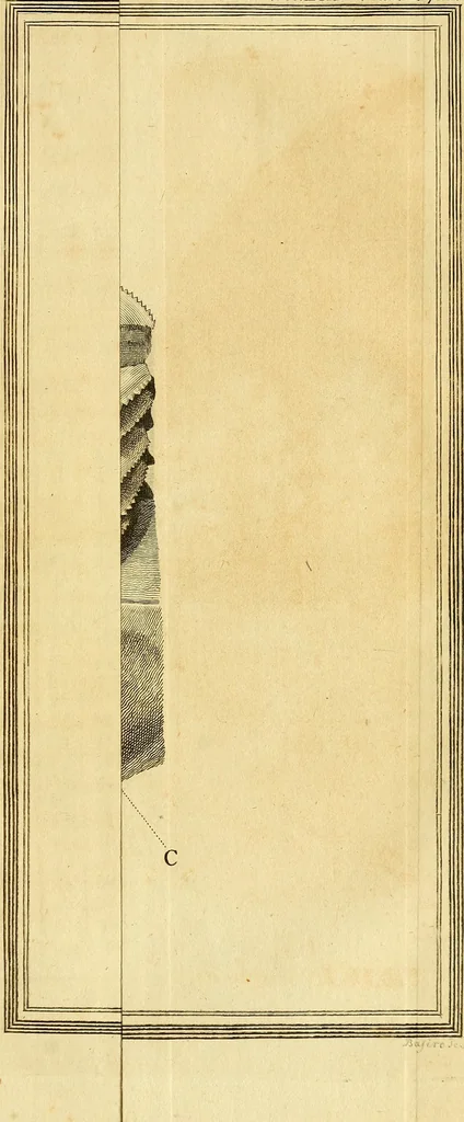 An illustration from Philosophical transactions of the Royal Society of London, 1666, leaf 350