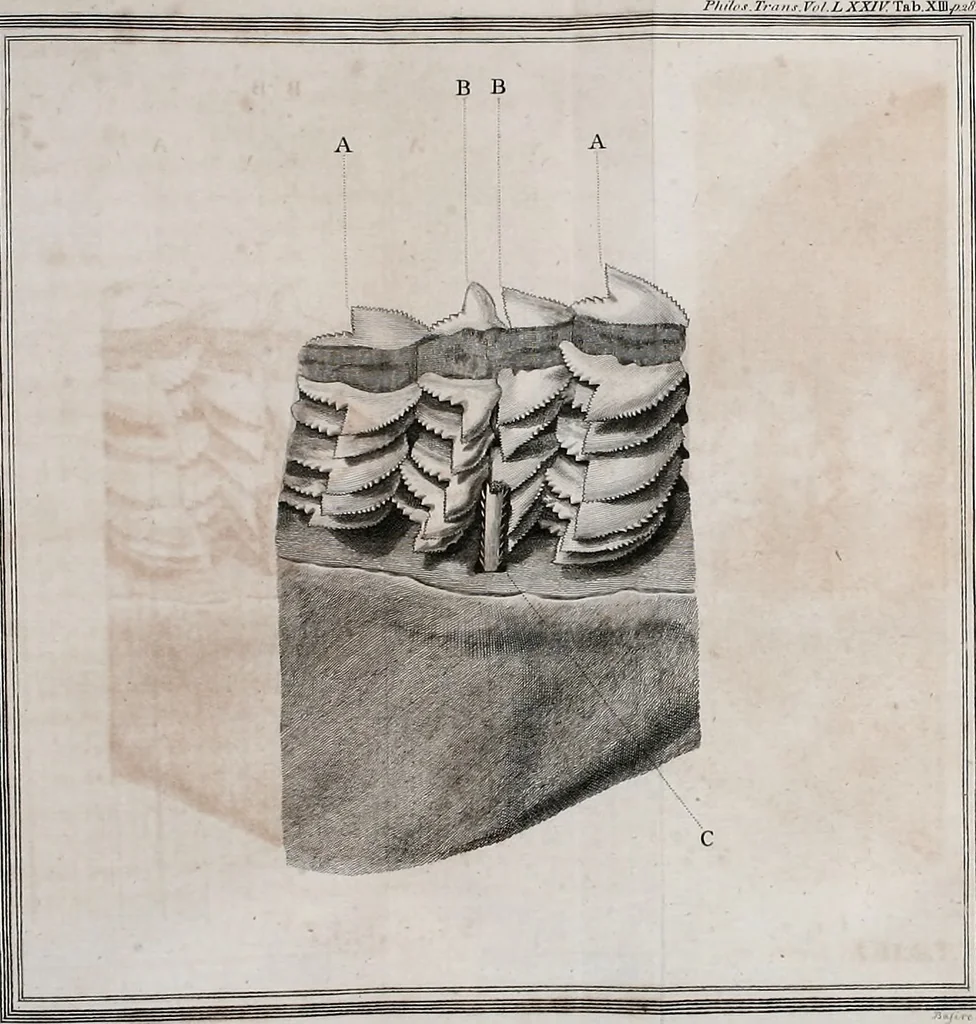 An illustration from Philosophical transactions of the Royal Society of London, 1666, leaf 352