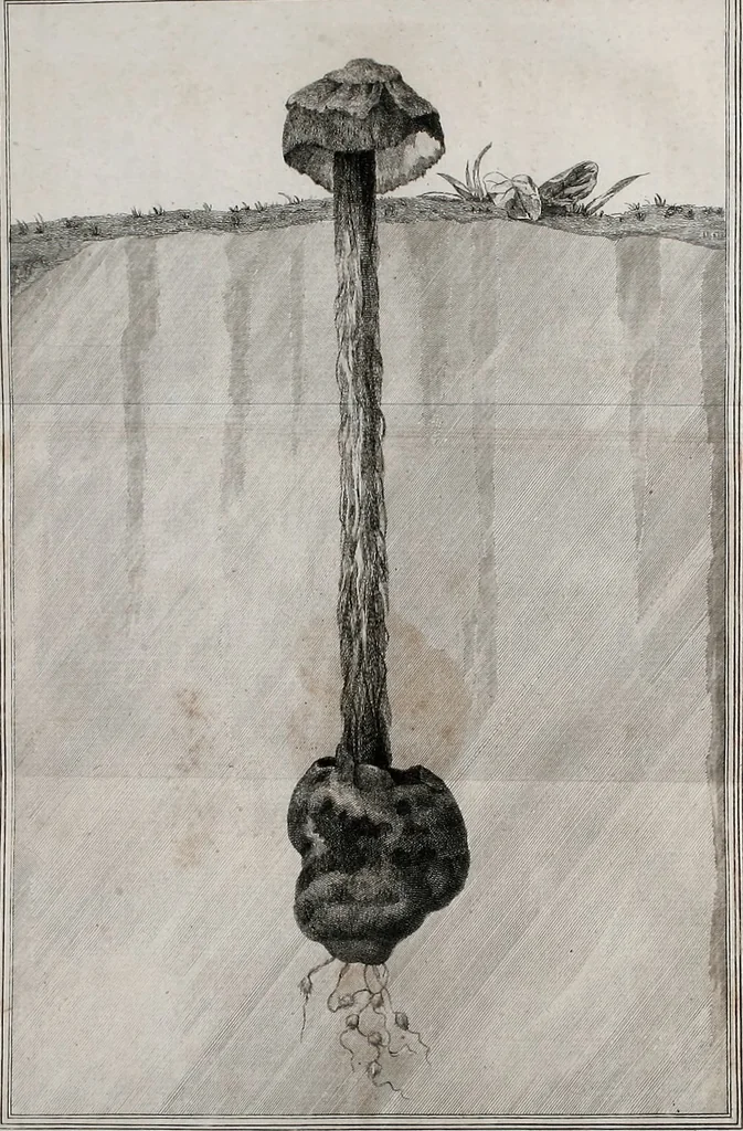 An illustration from Philosophical transactions of the Royal Society of London, 1666, leaf 508