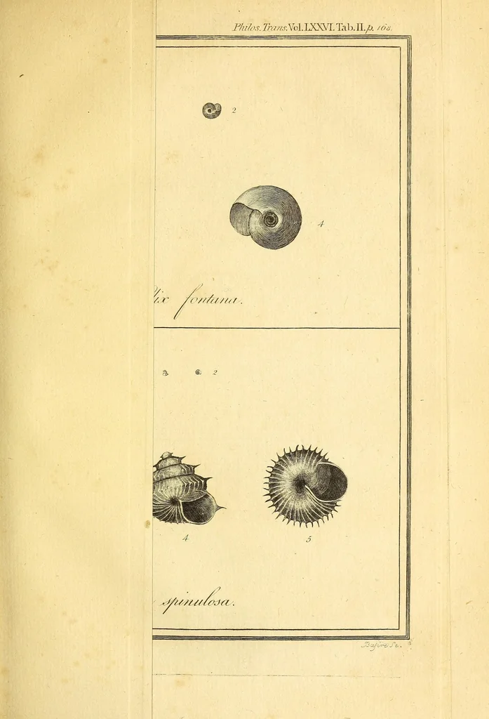 An illustration from Philosophical transactions of the Royal Society of London, 1666, leaf 185
