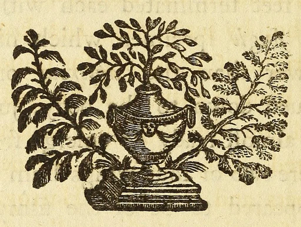 An illustration from Philosophical transactions of the Royal Society of London, 1666, leaf 194