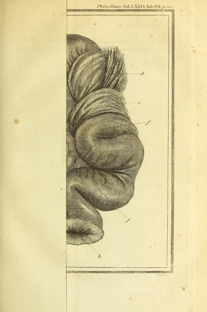 An illustration from Philosophical transactions of the Royal Society of London, 1666, leaf 353