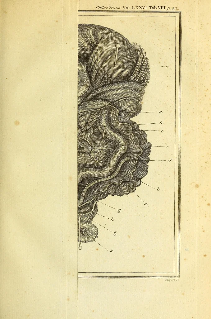 An illustration from Philosophical transactions of the Royal Society of London, 1666, leaf 357