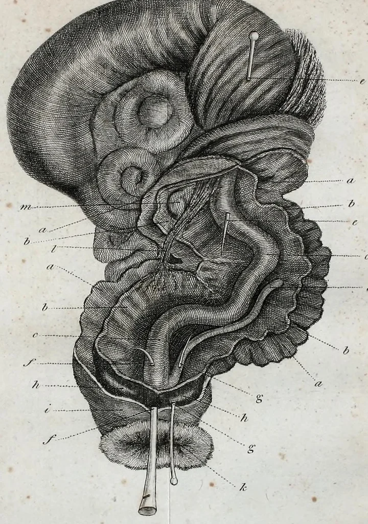 An illustration from Philosophical transactions of the Royal Society of London, 1666, leaf 359