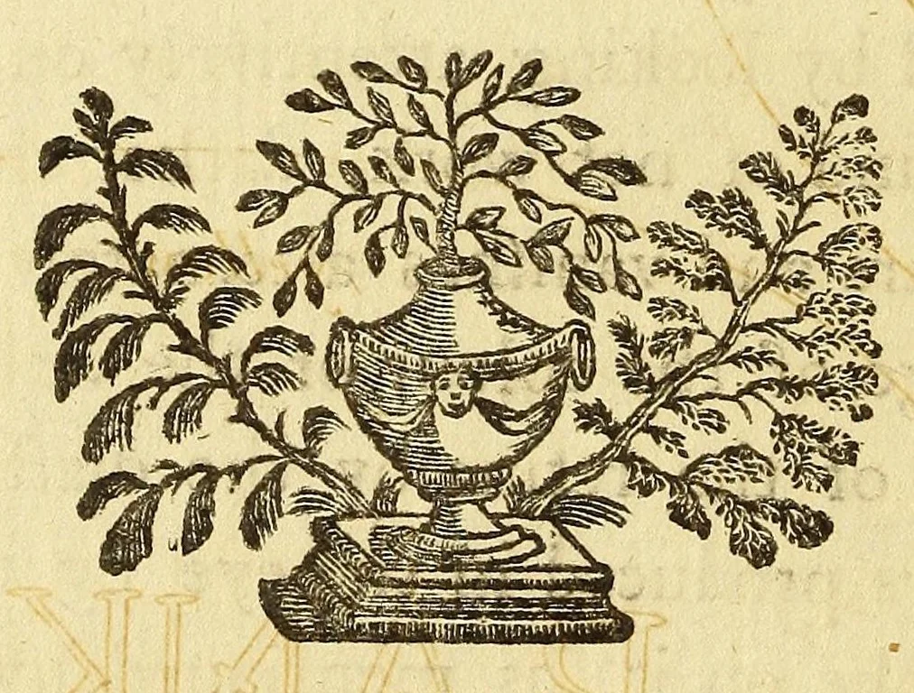 An illustration from Philosophical transactions of the Royal Society of London, 1666, leaf 396