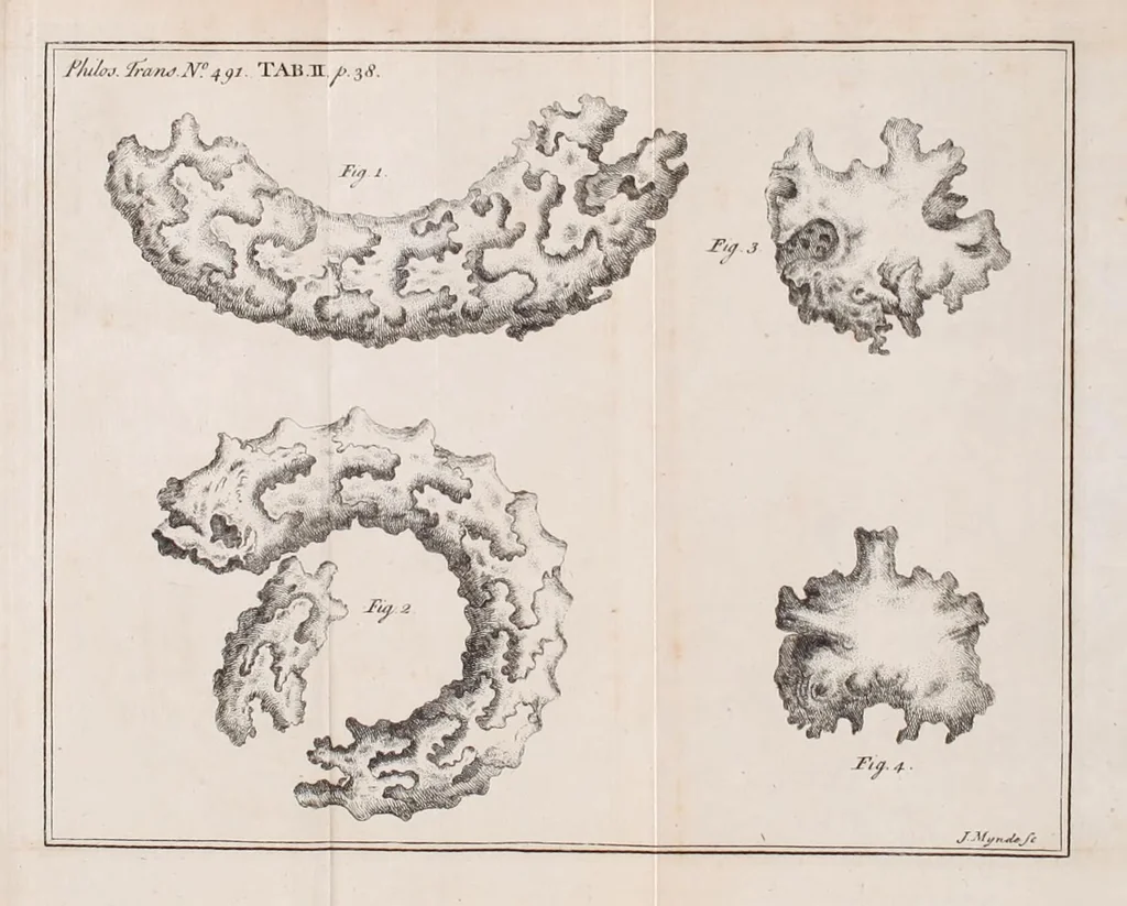 An illustration from Philosophical transactions of the Royal Society of London, 1665, leaf 11