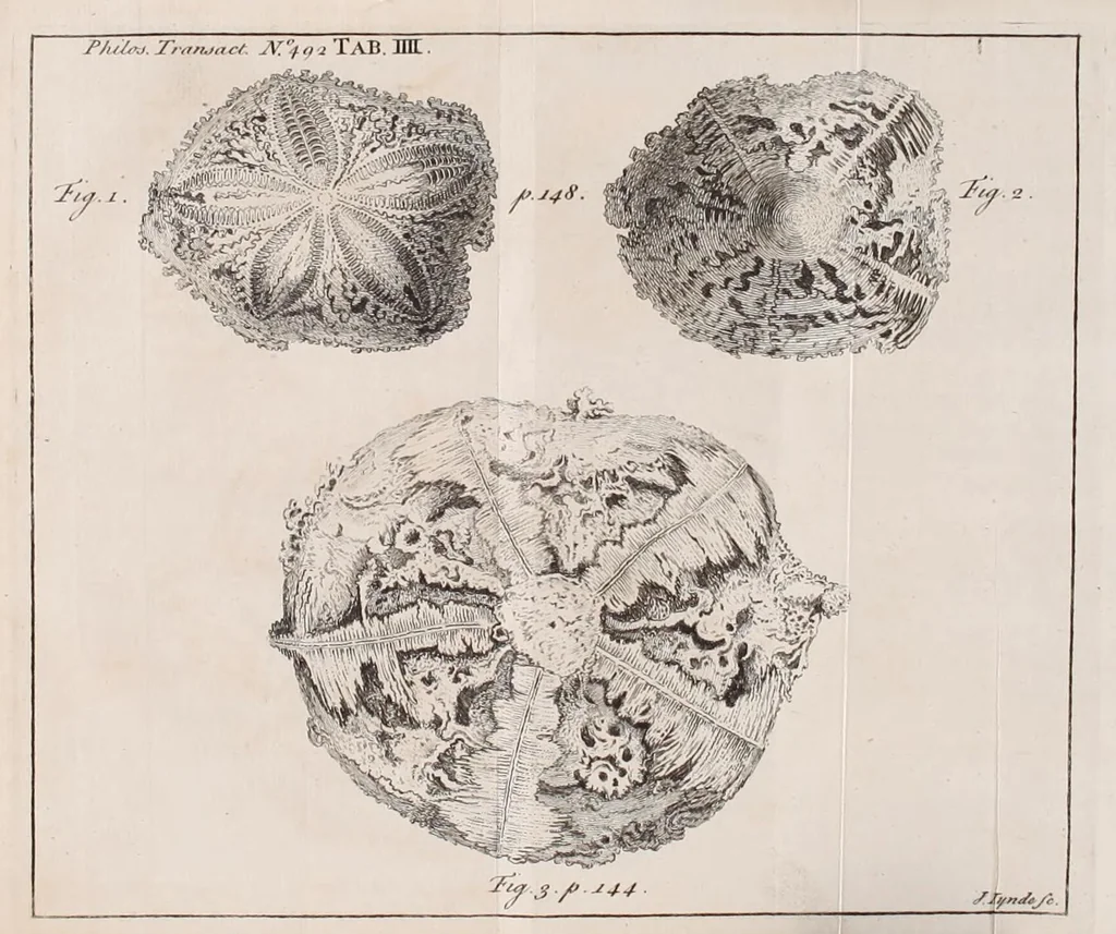 An illustration from Philosophical transactions of the Royal Society of London, 1665, leaf 113