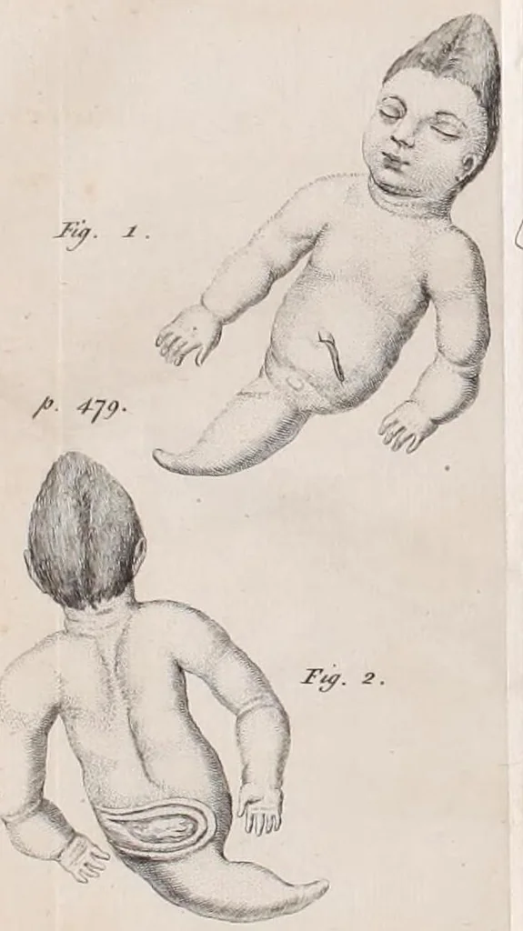 An illustration from Philosophical transactions of the Royal Society of London, 1665, leaf 461