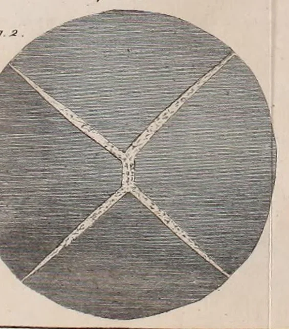 An illustration from Philosophical transactions of the Royal Society of London, 1665, leaf 595