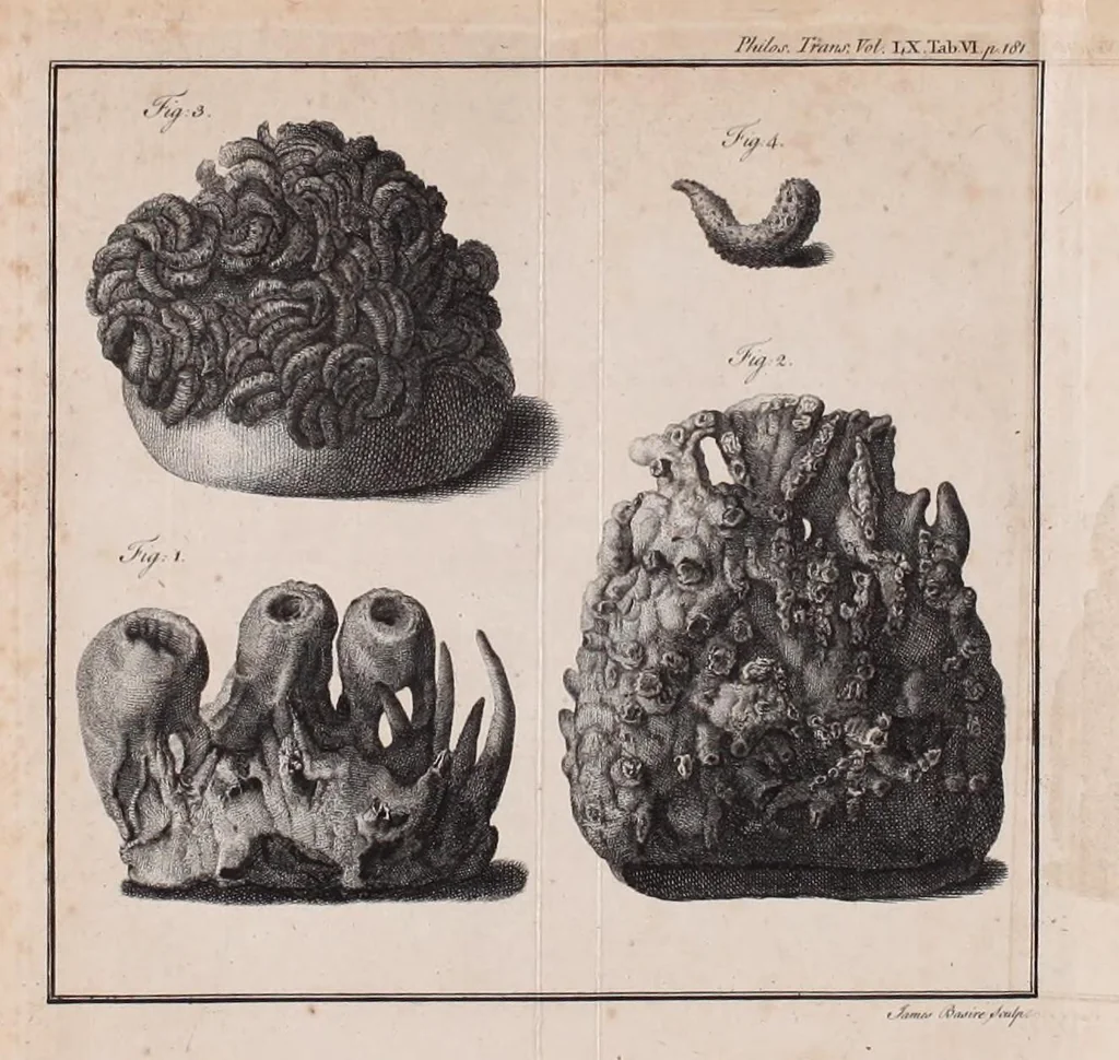 An illustration from Philosophical transactions of the Royal Society of London, 1665, leaf 213