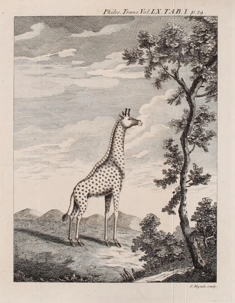 An illustration from Philosophical transactions of the Royal Society of London, 1665, leaf 51