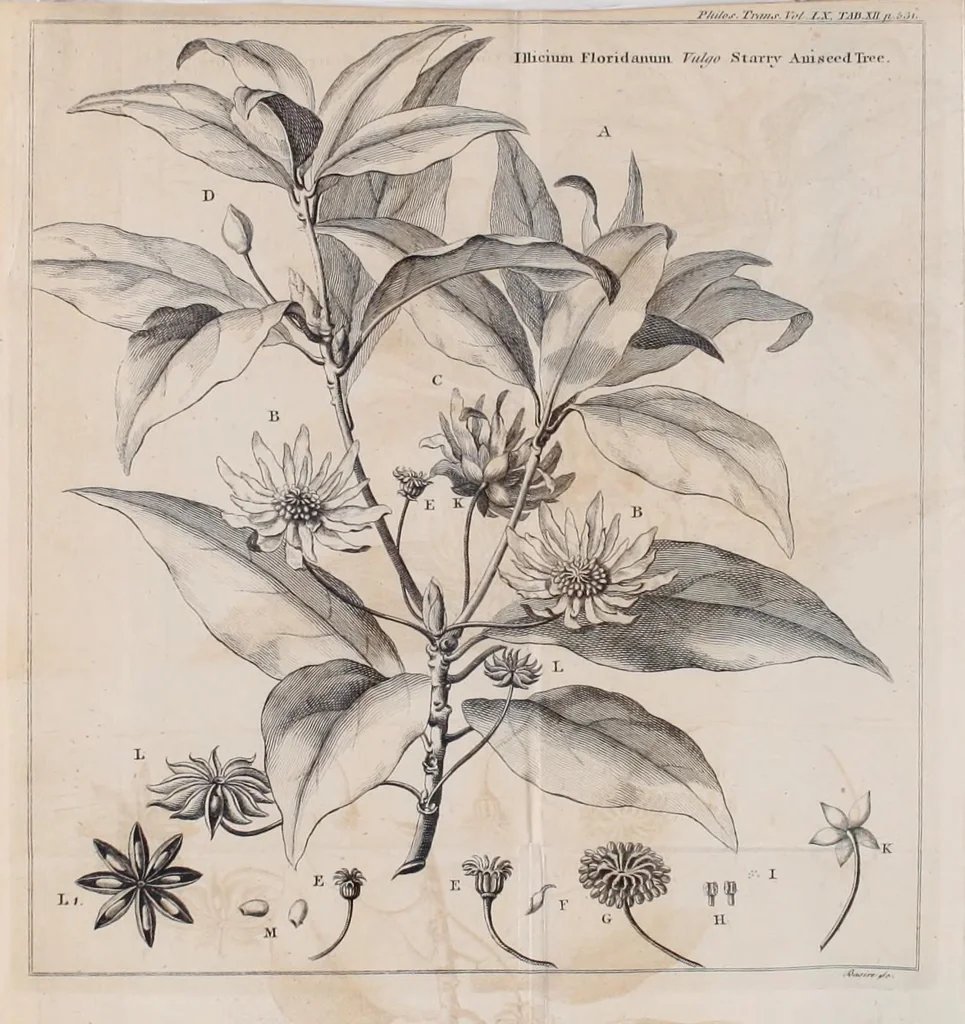 An illustration from Philosophical transactions of the Royal Society of London, 1665, leaf 575
