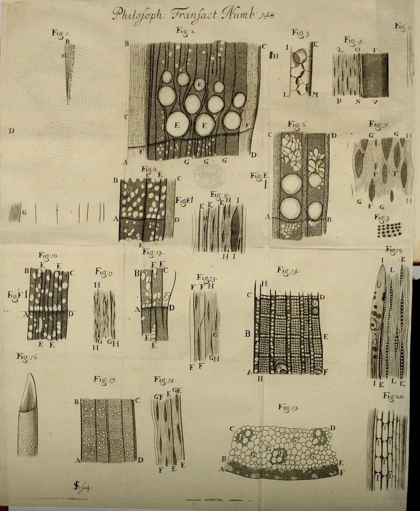 An illustration from Philosophical transactions of the Royal Society of London, 1683, leaf 226