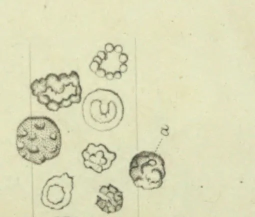An illustration from Philosophical transactions, 1665, leaf 346