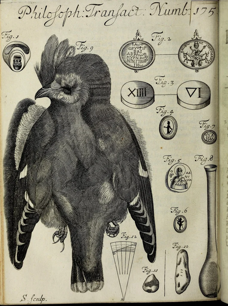 An illustration from Philosophical transactions of the Royal Society of London, 1685, leaf 348