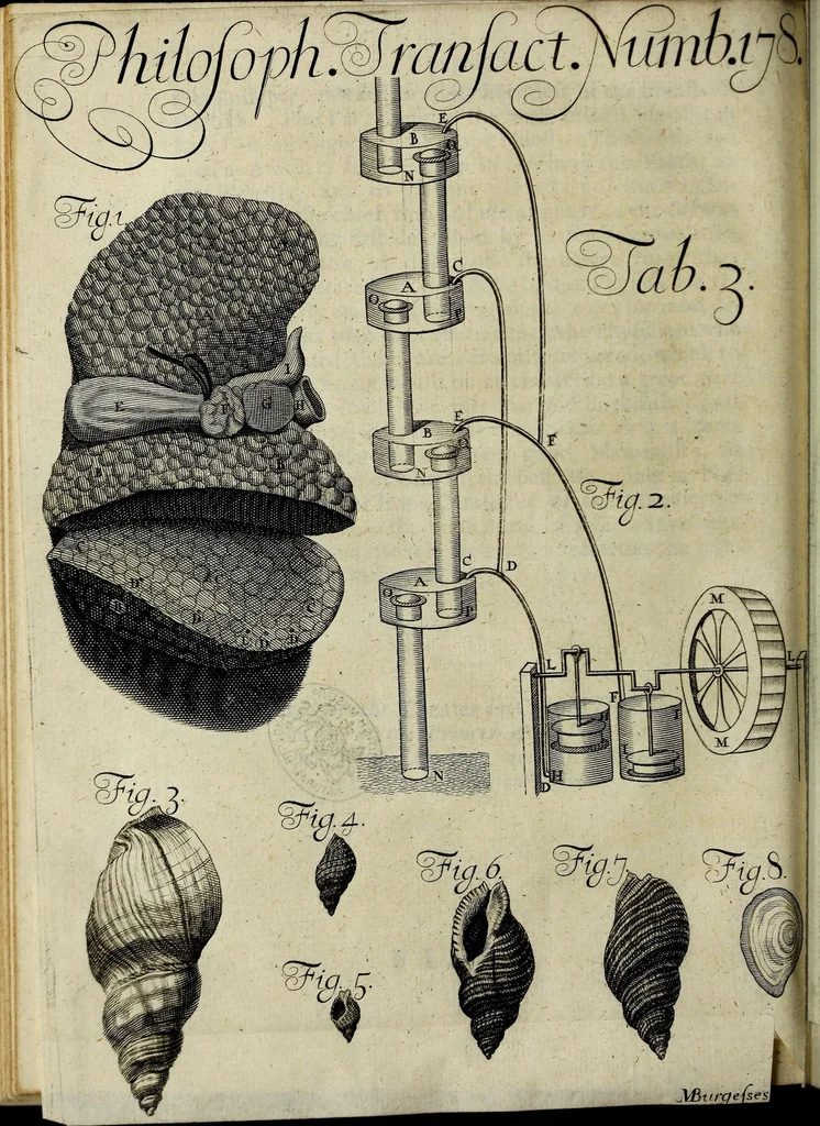 An illustration from Philosophical transactions of the Royal Society of London, 1685, leaf 458