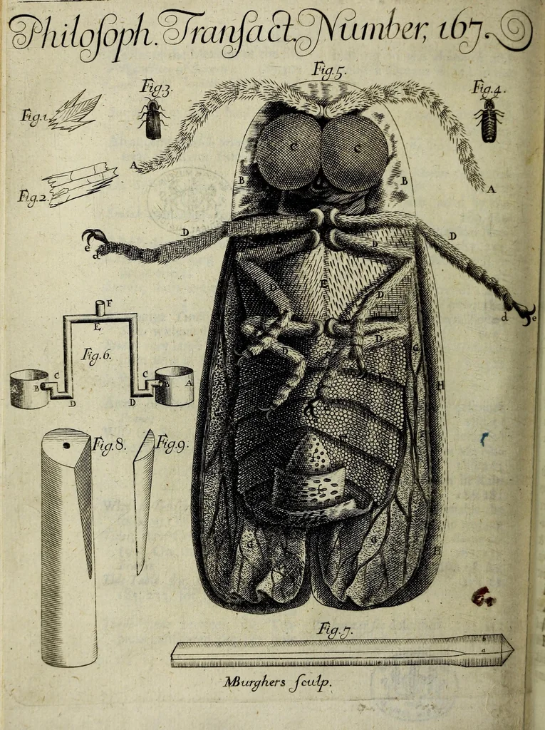 An illustration from Philosophical transactions of the Royal Society of London, 1685, leaf 8