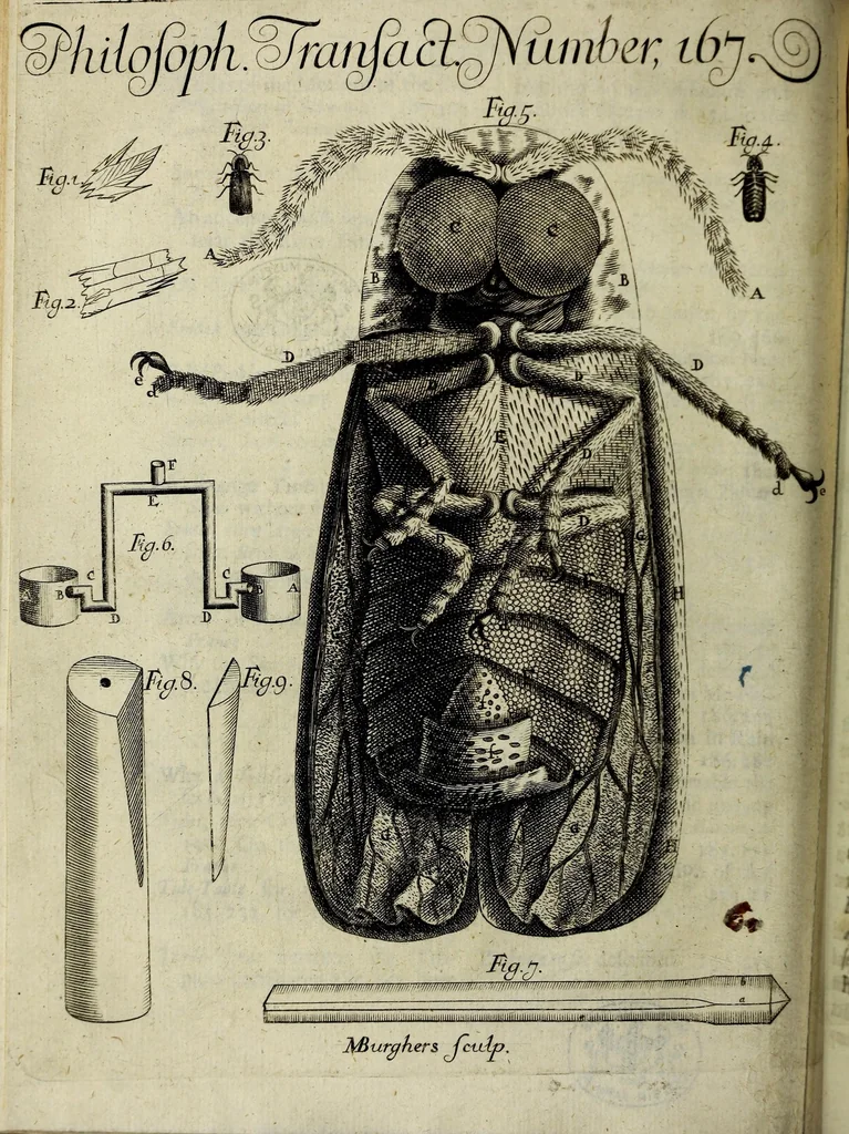 An illustration from Philosophical transactions of the Royal Society of London, 1686, leaf 492