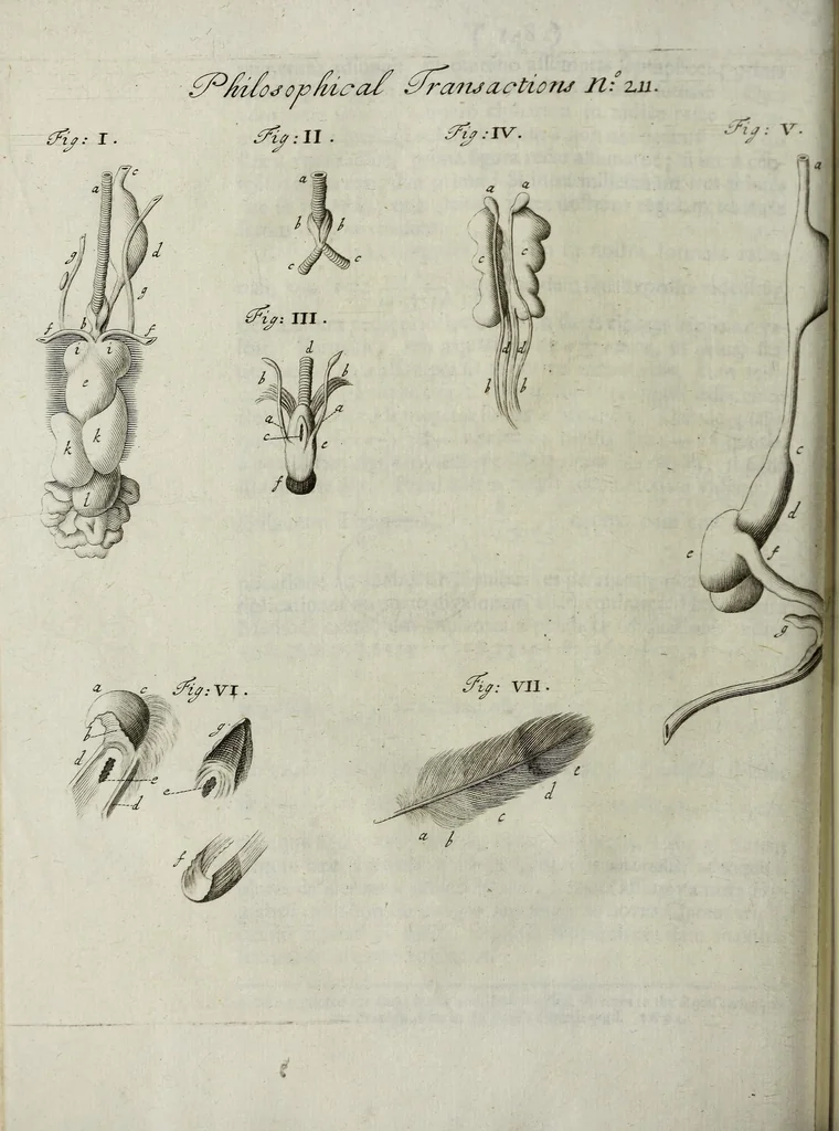 An illustration from Philosophical transactions of the Royal Society of London, 1694, leaf 196