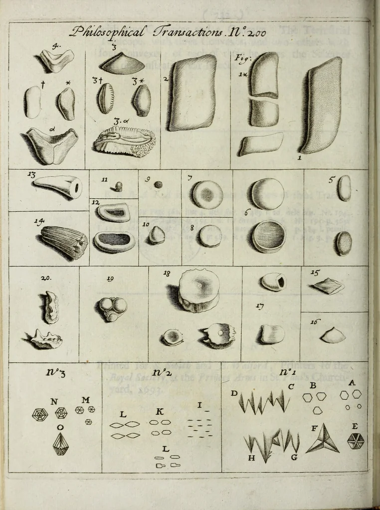 An illustration from Philosophical transactions of the Royal Society of London, 1695, leaf 310