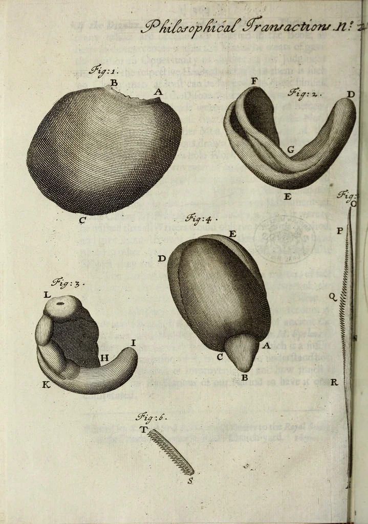 An illustration from Philosophical transactions of the Royal Society of London, 1695, leaf 290
