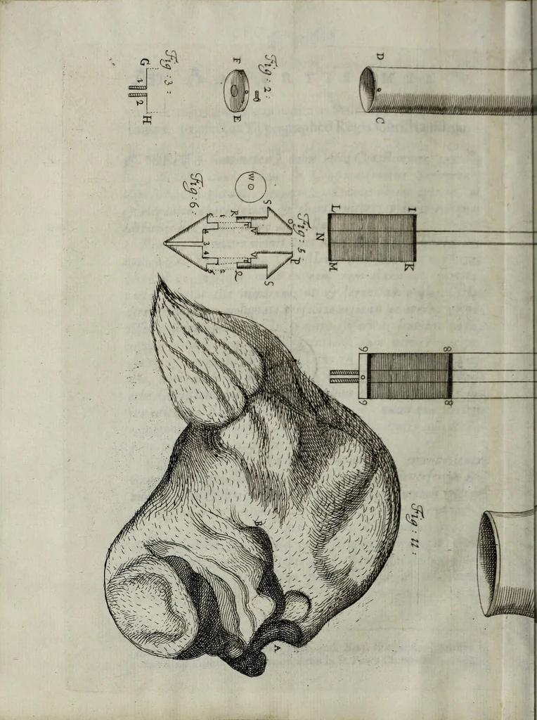 An illustration from Philosophical transactions of the Royal Society of London, 1700, leaf 470