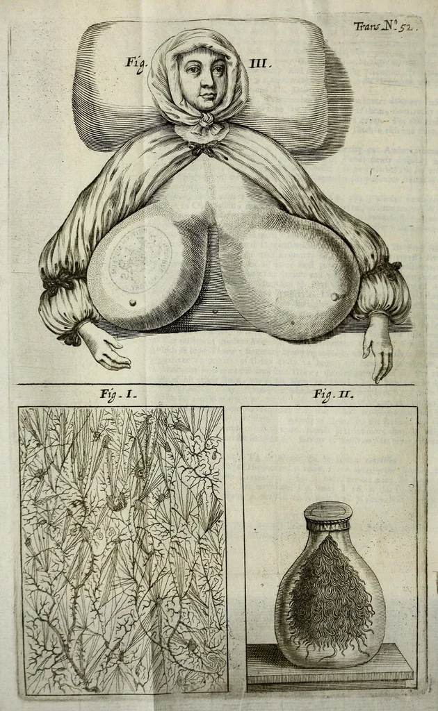 An illustration from Philosophical transactions of the Royal Society of London, 1670, leaf 162