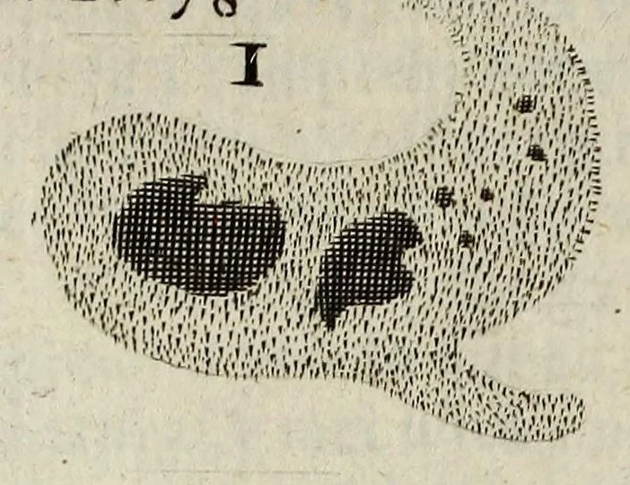 An illustration from Philosophical transactions of the Royal Society of London, 1672, leaf 252