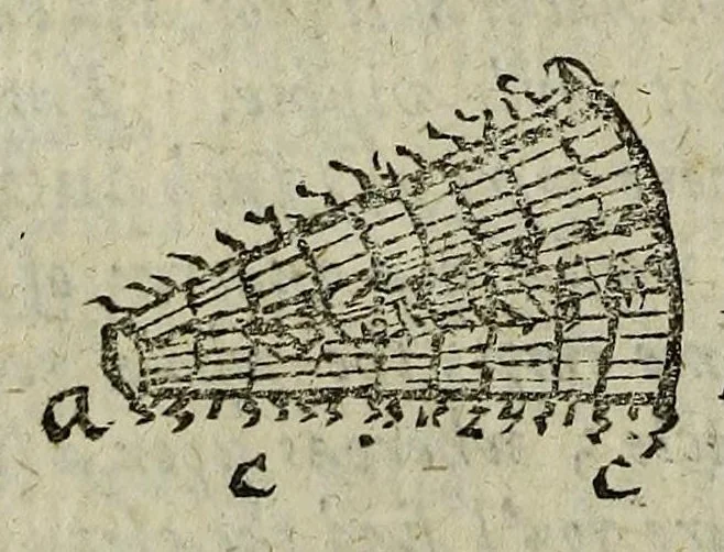 An illustration from Philosophical transactions of the Royal Society of London, 1672, leaf 460