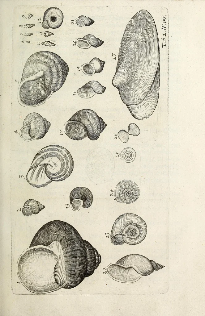 An illustration from Philosophical transactions of the Royal Society of London, 1675, leaf 113