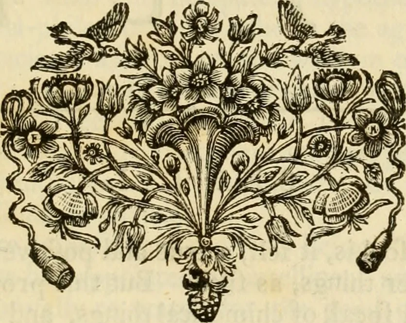 An illustration from The philosophical works of the Honourable Robert Boyle esq.: abridged, methodized, and disposed under the general heads of physics, statics, pneumatics, natural history, chymistry, and medicine, 1725, leaf 128