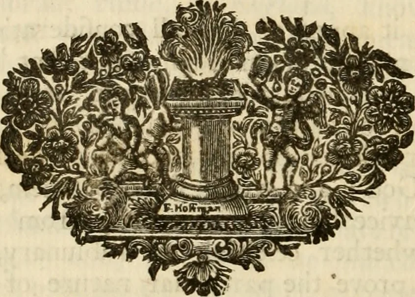 An illustration from The philosophical works of the Honourable Robert Boyle esq.: abridged, methodized, and disposed under the general heads of physics, statics, pneumatics, natural history, chymistry, and medicine, 1725, leaf 219