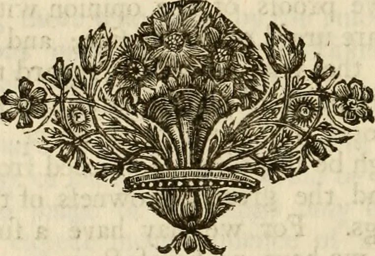 An illustration from The philosophical works of the Honourable Robert Boyle esq.: abridged, methodized, and disposed under the general heads of physics, statics, pneumatics, natural history, chymistry, and medicine, 1725, leaf 251