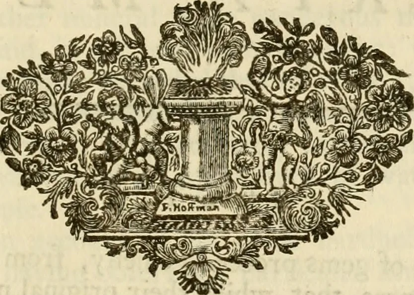 An illustration from The philosophical works of the Honourable Robert Boyle esq.: abridged, methodized, and disposed under the general heads of physics, statics, pneumatics, natural history, chymistry, and medicine, 1725, leaf 340