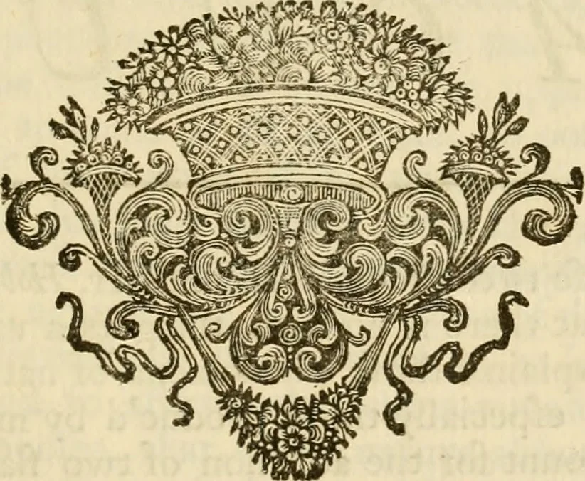 An illustration from The philosophical works of the Honourable Robert Boyle esq.: abridged, methodized, and disposed under the general heads of physics, statics, pneumatics, natural history, chymistry, and medicine, 1725, leaf 754