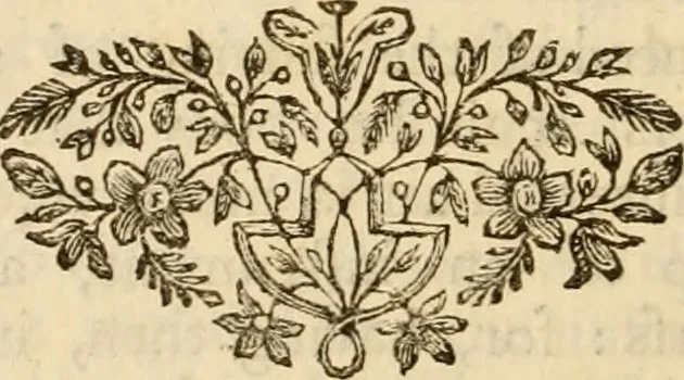 An illustration from The philosophical works of the Honourable Robert Boyle esq.: abridged, methodized, and disposed under the general heads of physics, statics, pneumatics, natural history, chymistry, and medicine, 1725, leaf 767